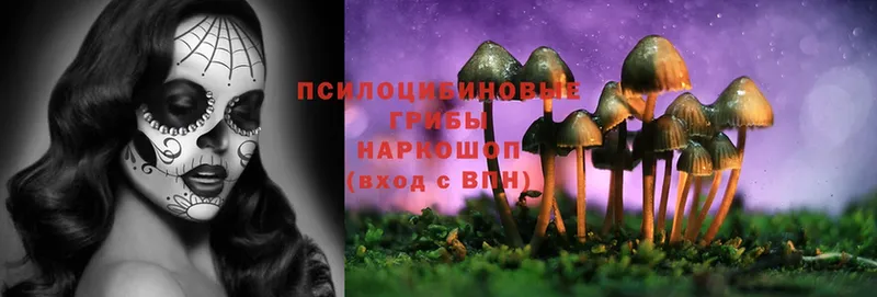 Галлюциногенные грибы MAGIC MUSHROOMS  кракен вход  Новоуральск 